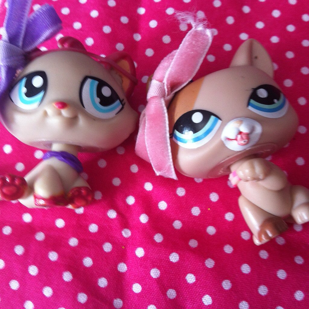 SSGFAN0's tweet image. 