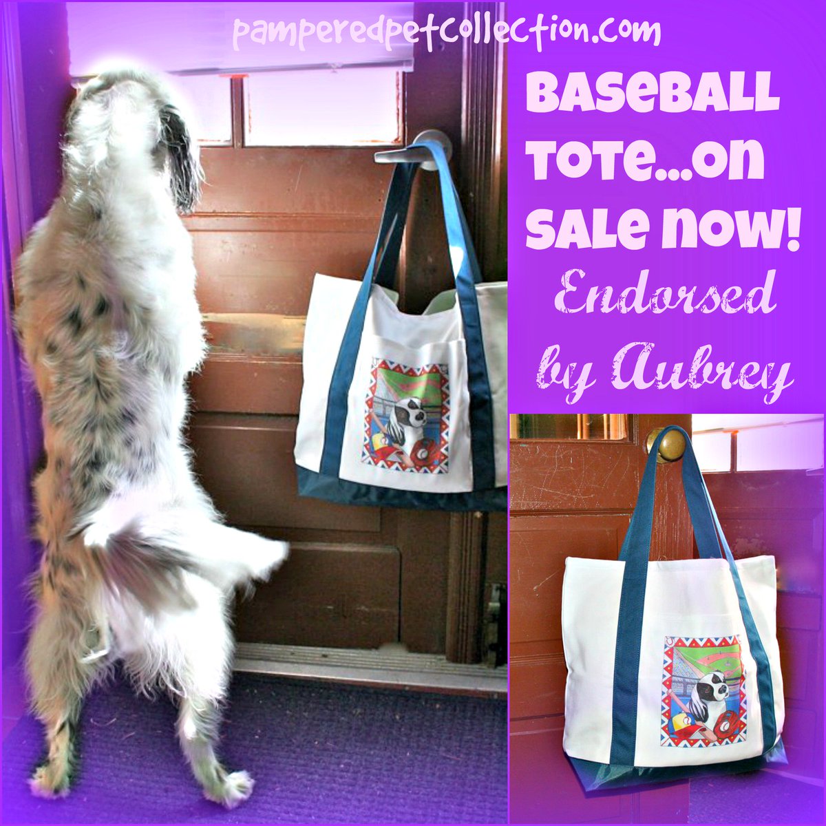Aubrey and #baseball! Spring Special Sale! #Aubrey #spring #tote #sale ht.ly/4mXr3u