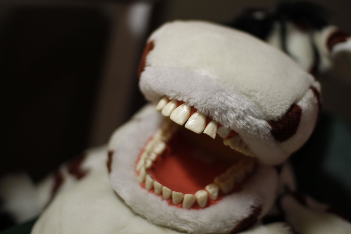 realscientists's tweet image. This dental model at the Eau Claire Childrens Museum is a vaguely terrifying #GatewayToScience