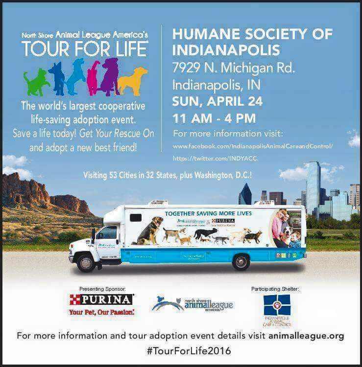 PugKitchen's tweet image. We'll be at Tour For Life at Indy Humane tomorrow!! @smilingdogphoto will be there too! Come see us!