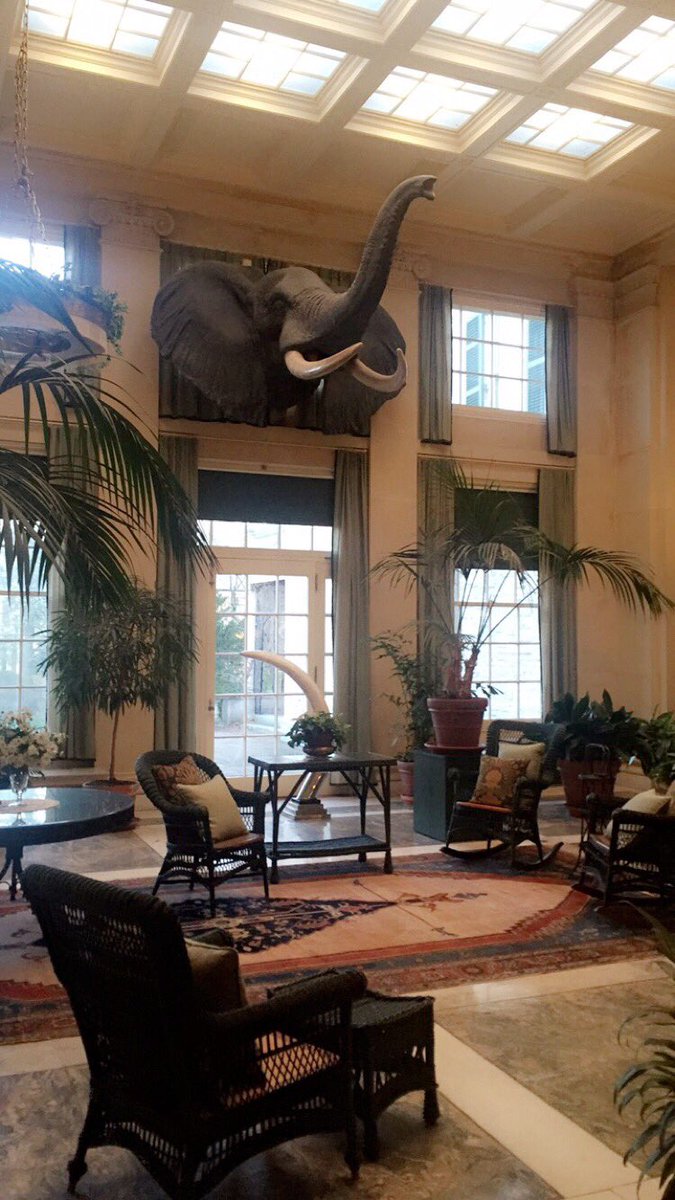 yelpROC's tweet image. Quick glimpse of the @EastmanMuseum before we screen the @FastForwardRoc films #FastForwardRoc