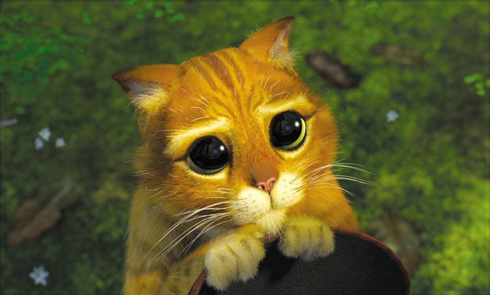 HadHappened's tweet photo. #WhatHadHappenedWas pleading for that 89.9% to be rounded to an A to your professor like... https://t.co/35Ob4VlqOf