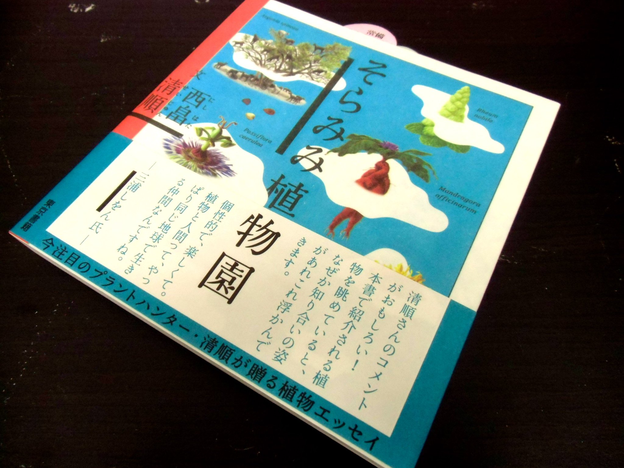 知遊堂 366days 366books 4月24日は 植物学の日 日本の植物学の父 植物分類学者 牧野富太郎の誕生日 文久2年旧暦4月24日 に因む そらみみ植物園 西畠清順 文 そらみみ工房 絵 東京書籍 亀貝店 山田 知遊堂 366days 366books 4月24日は 植物学の日 日本の植物学の父 植物分類学者 牧野富太郎の誕生日 文久2年旧暦4月24日 に因む そらみみ植物園 西畠清順 文 そらみみ工房 絵 東京書籍 亀貝店 山田