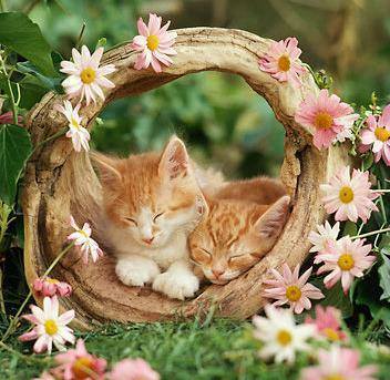 catarinalvim's tweet image. A vida é muito mais do que aquilo que os olhos observam.A vida vai muito além dos cinco sentidos.
B W
Via: Reflexões