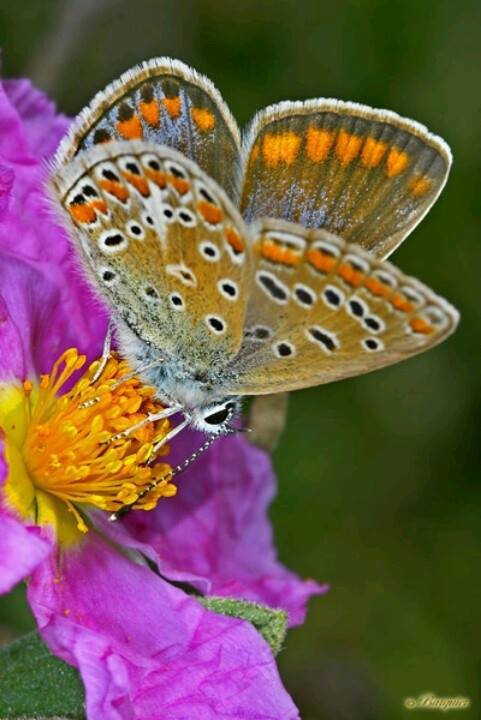 catarinalvim's tweet image. "Preciso de magia. 
Não posso viver em preto e branco..."

Nietzche

Via: Graciosa Página