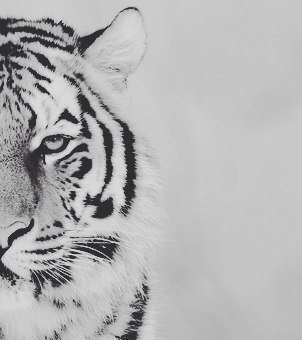 EyvazliVusal's tweet image. #Доброеутра#всеммоим#друзьям