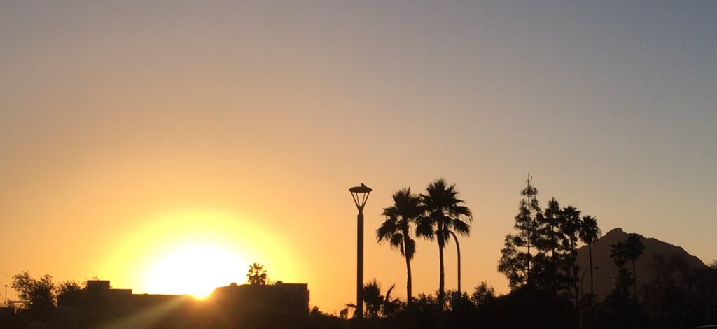 DarthOda's tweet image. #7DaysOfNature Challenge! Day 1 of 7: "Phoenix Sunset" #Phoenix #sunset #jdstoker