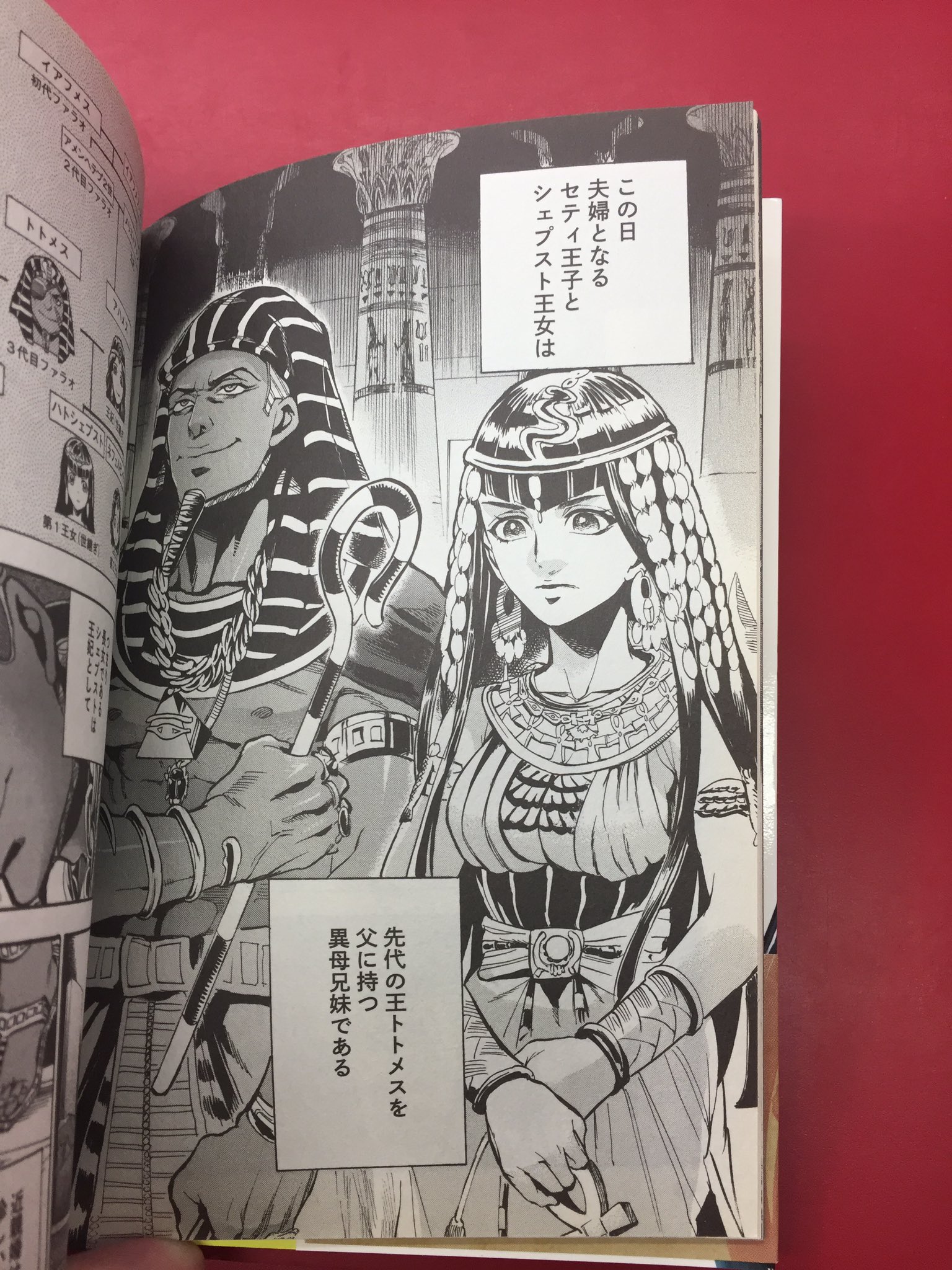 まんだらけうめだ店 少年コミック エジプトといえば犬童千絵 碧いホルスの瞳 は古代エジプトを舞台にした王権を巡る権力闘争の物語 国を治めるために 夫であり兄であるファラオと争うシェプスト王女の物語 1巻 まんだらけうめだ店 少年コミック エジプトといえば犬童千絵 碧いホルスの瞳 は古代エジプトを舞台にした王権を巡る権力闘争の物語 国を治めるために 夫であり兄であるファラオと争うシェプスト王女の物語 1巻
