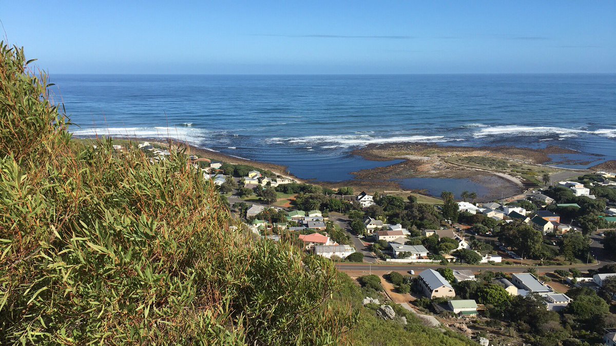 Chris Bertish tweet media