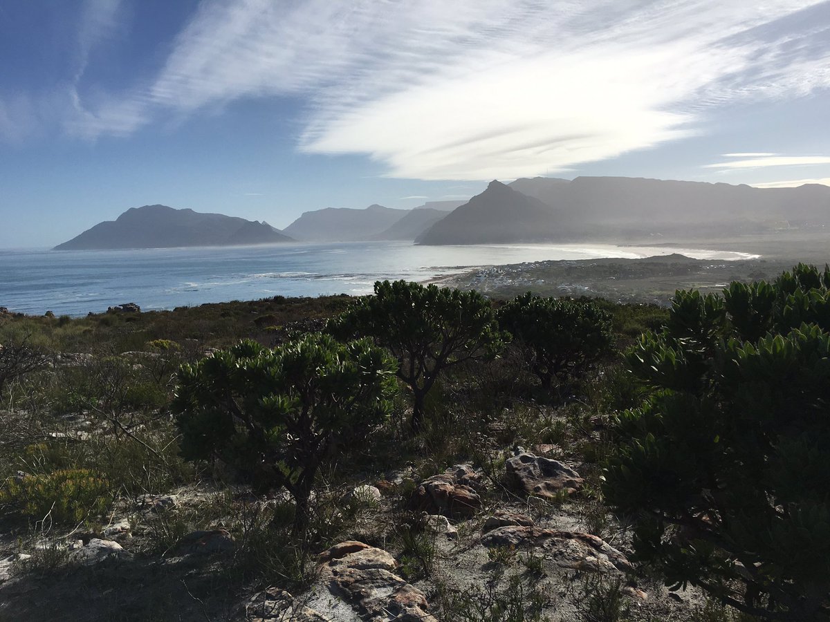 Chris Bertish tweet media