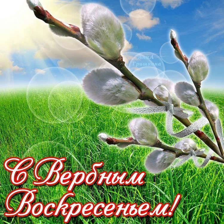 Алмазы бриллианты, фото с вербным воскресеньем анимация