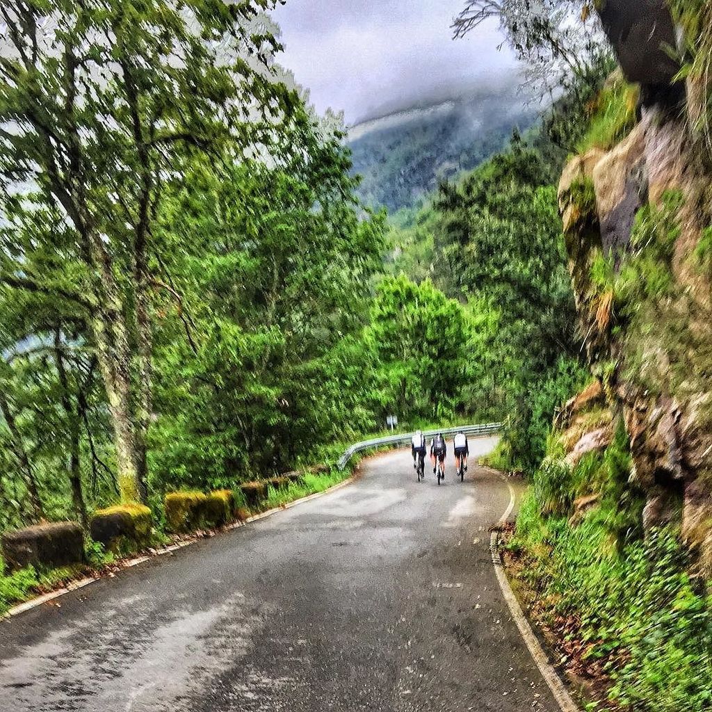 #roadslikethese #pornroads #roadbike #roadcycling #fromwhereiride #galicia #ourense #canondosil #cañondelsil #speci…