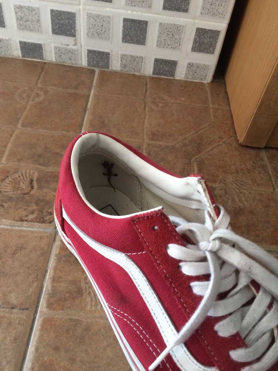 ถ่ายไว้หลายรูปเพื่อจะได้เปลี่ยนท่าบ้างนะเจ้าจิ้งจก.