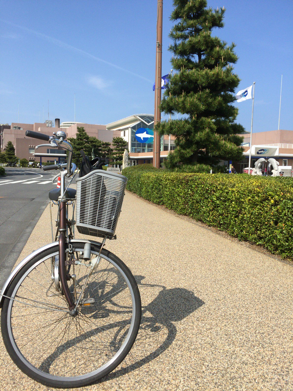 なりすけ 昨日の大洗は天気予報では雨でしたが通らばリーチで行ってみたら曇りのち晴れで大変よろしゅうございました そしてぶらつきのお供の大洗駅レンタルサイクル7号ちゃんどうもお疲れ様でした T Co Jecmx4d4es Twitter