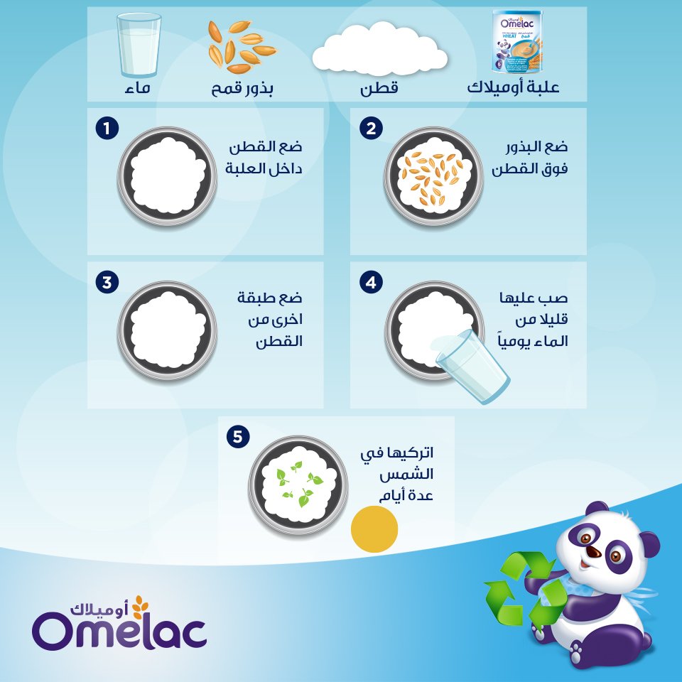 خطوات الزراعة للاطفال