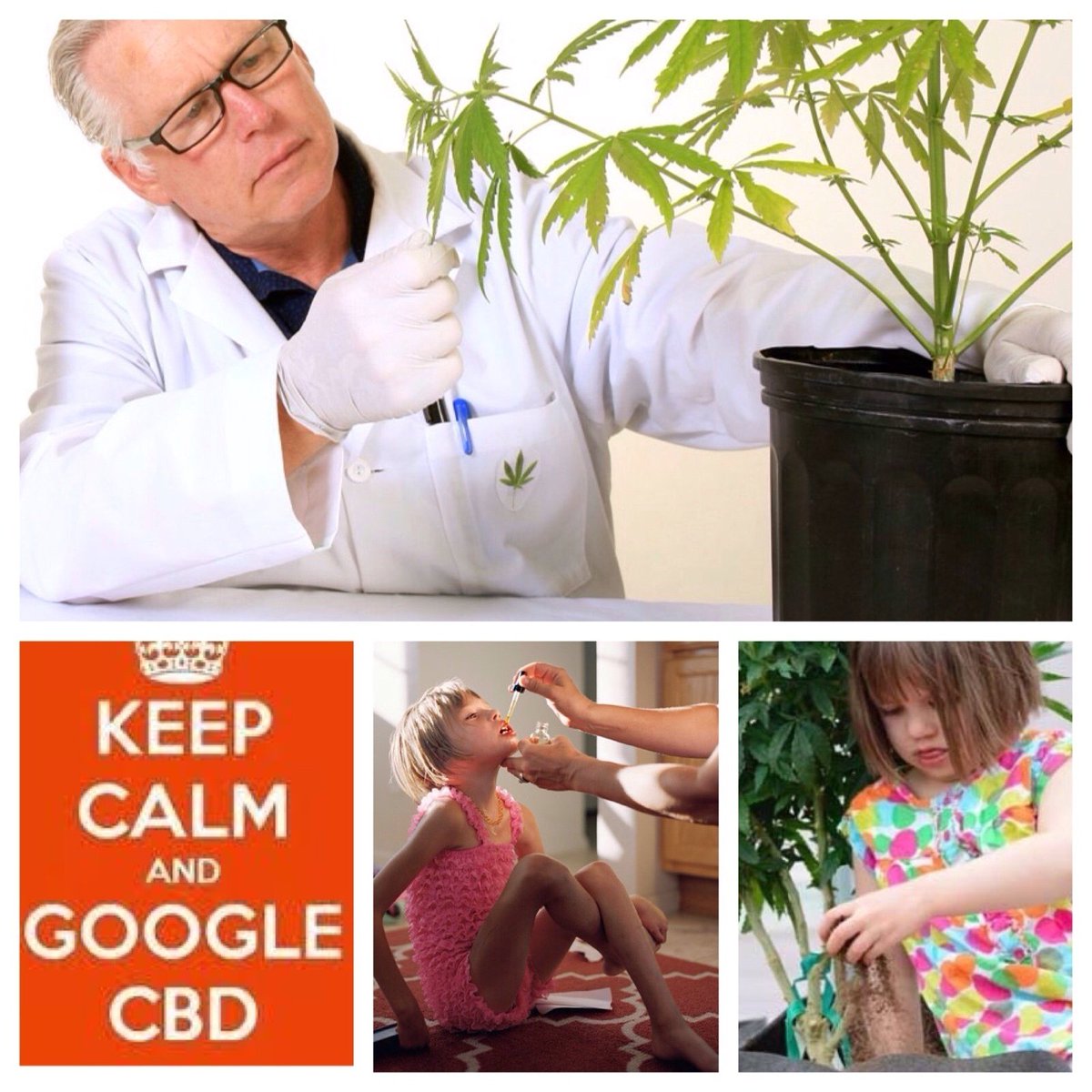 The Hemp Company Dublin tweet media