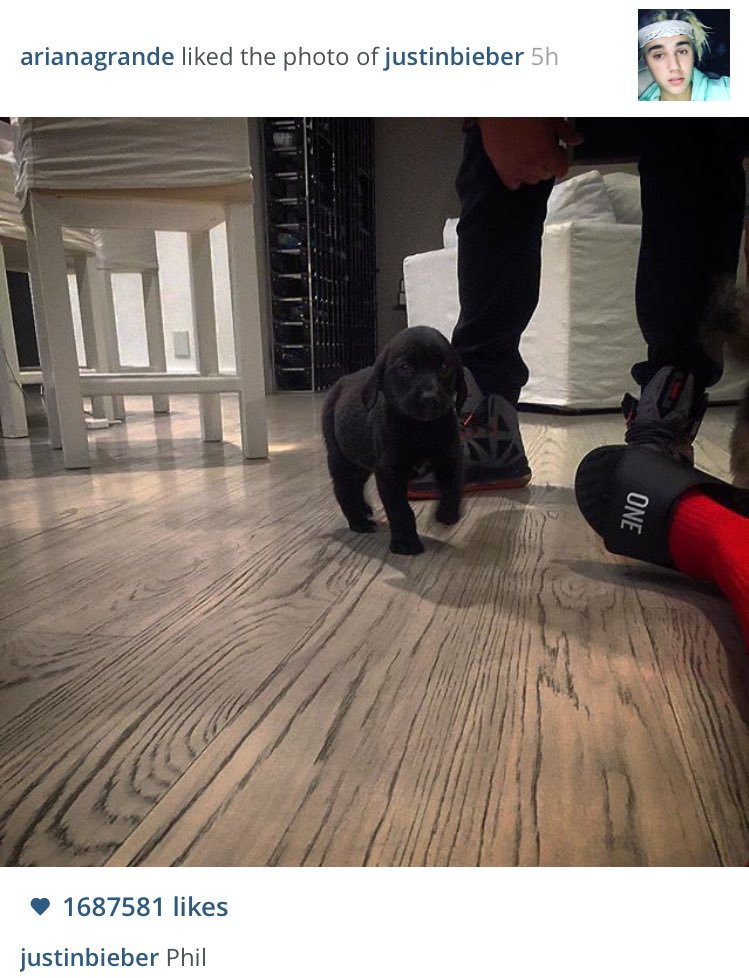 Ariana liked Justin's Instagram photo of Phil