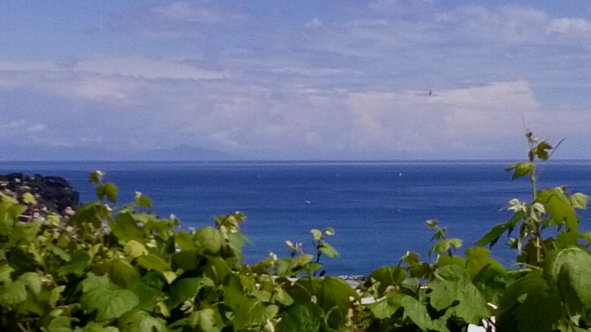 CasaMuseoJorn's tweet photo. 'verso l'#infinito e oltre!'
#oltrelaforma #arte #natura #panorama #CasaMuseoJorn #domenica #sole #mare https://t.co/wQpkoDI9As