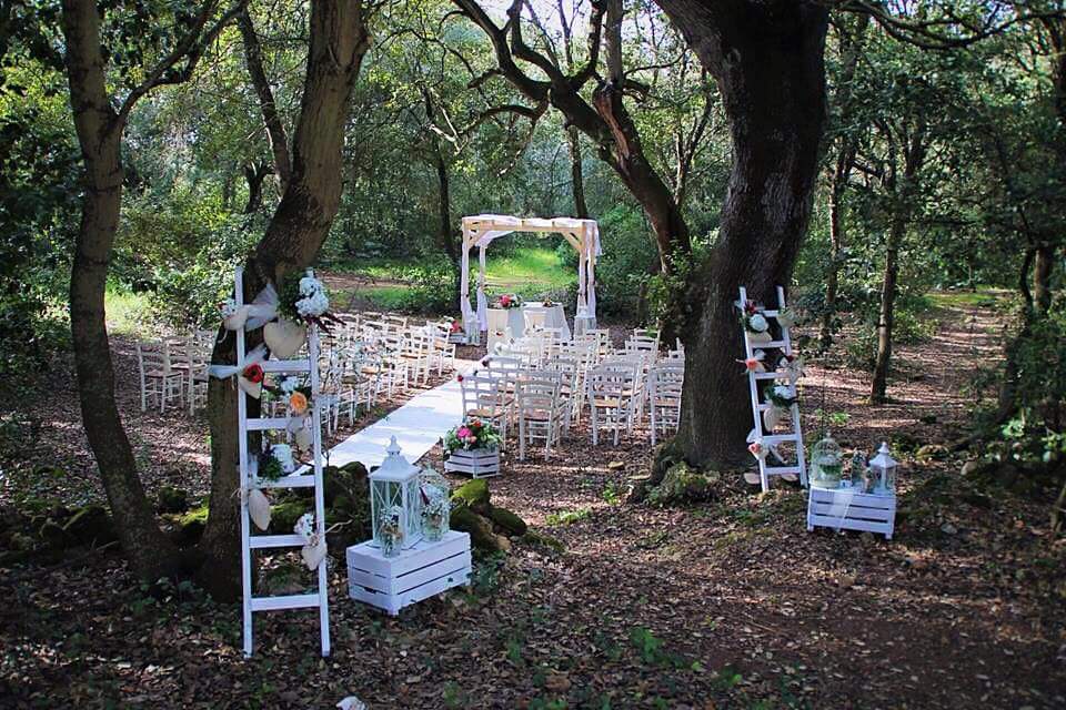 TenutaMonacell1's tweet photo. Rito Civile nel Bosco di #TenutaMonacelli #wedding #ritocivile #destinationwedding #love #weddingday #matrimonio https://t.co/mDMrQXq2jK