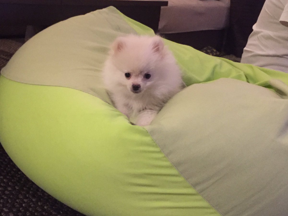 cocococo087 tweet picture
