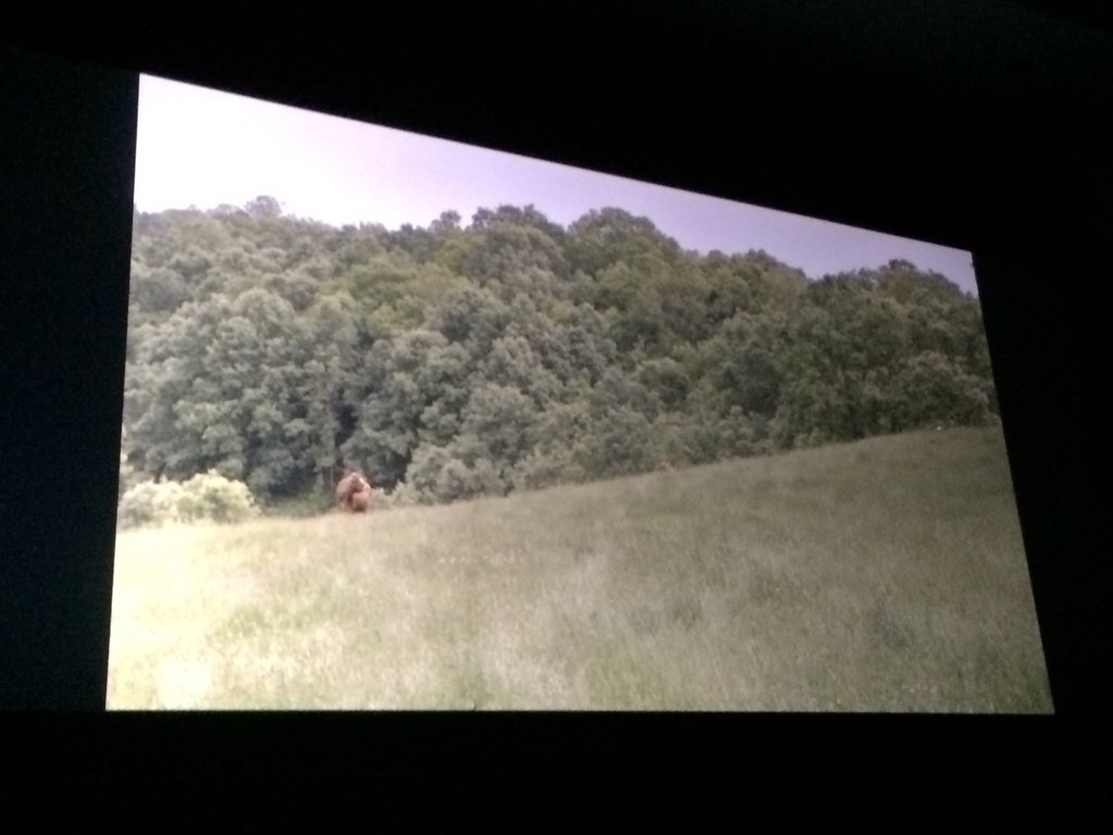 "La Tierra no debe ser de nadie"...Gustazo caminar por Galicia con <a href="/GrupoNoveCocina/">Grupo Nove</a> <a href="/festivalmalaga/">Festival de Málaga</a> #Gastroweekend