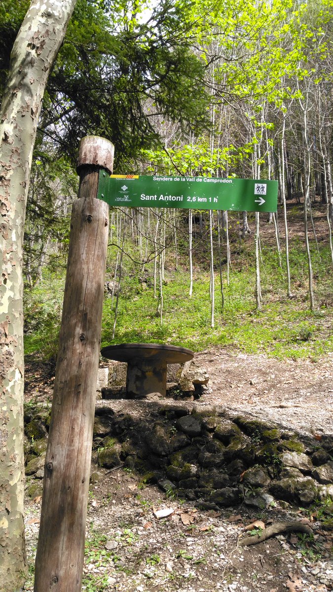 Mdviaplana's tweet photo. Hoy cambio la siesta por la aventura , #Mindfullness, #naturaleza #camprodon & my #dother 💚💟💖💖 https://t.co/gE6myTRrKD