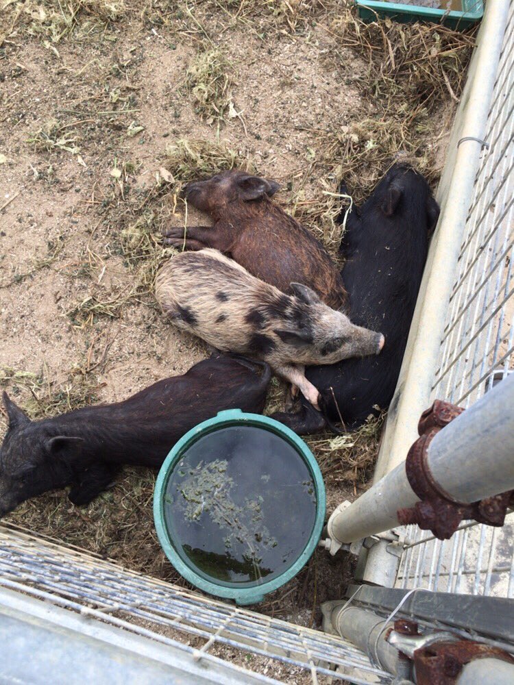 みずき Mizuki6485 Twitter