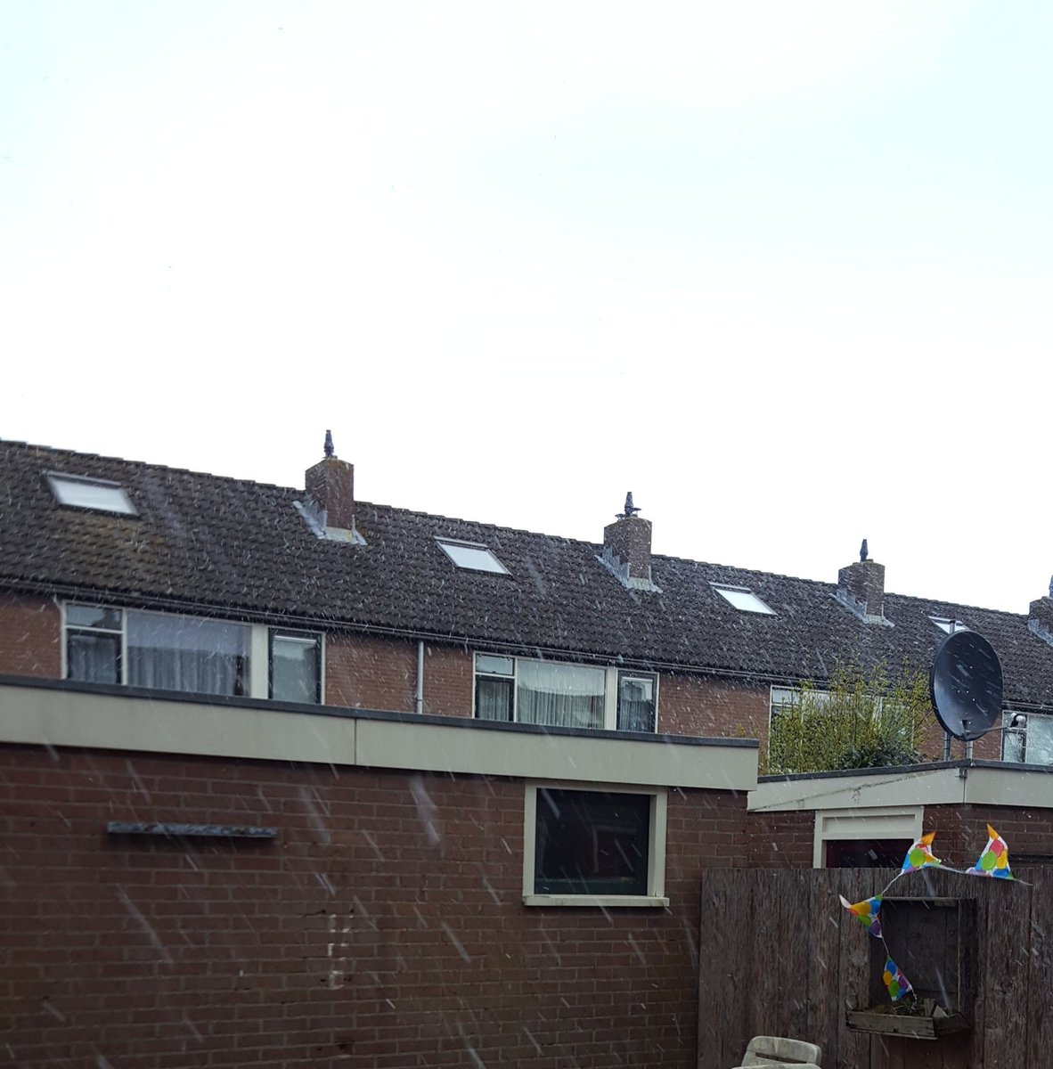 KoetTim's tweet image. @aprildoetwatiewil @sneeuw