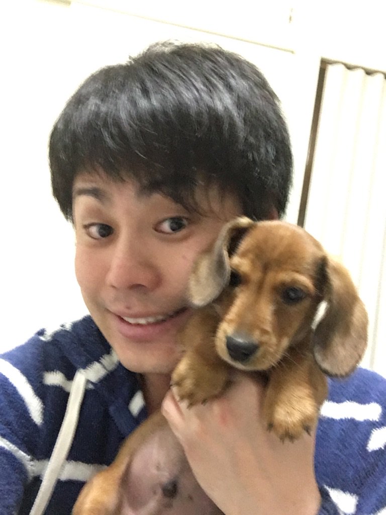 Nonstyle井上 ノンスタイル やっぱり犬が好きを見てくださった方々ありがとうございました レンを飼わないという決断に色々意見はあるとは思いますが 僕は僕なりの決意を持って ああいう結果になりました スカイツリーが曲がる程の涙を見せて