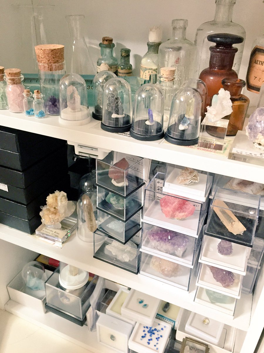 夏珞 鉱石コレクション棚 大きい子たちはケースに入れて他のところに 定期的に石を買わないと死んでしまう 鉱石 鉱物 Mineral