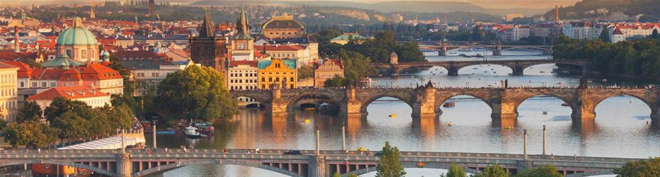 RagelDotCom tweet media