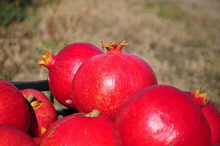 Stay_Young_Tips's tweet photo. Vitamins And Minerals: Solid Tips And Tricks - https://t.co/4CED31wWwE https://t.co/ADmk7IASH8