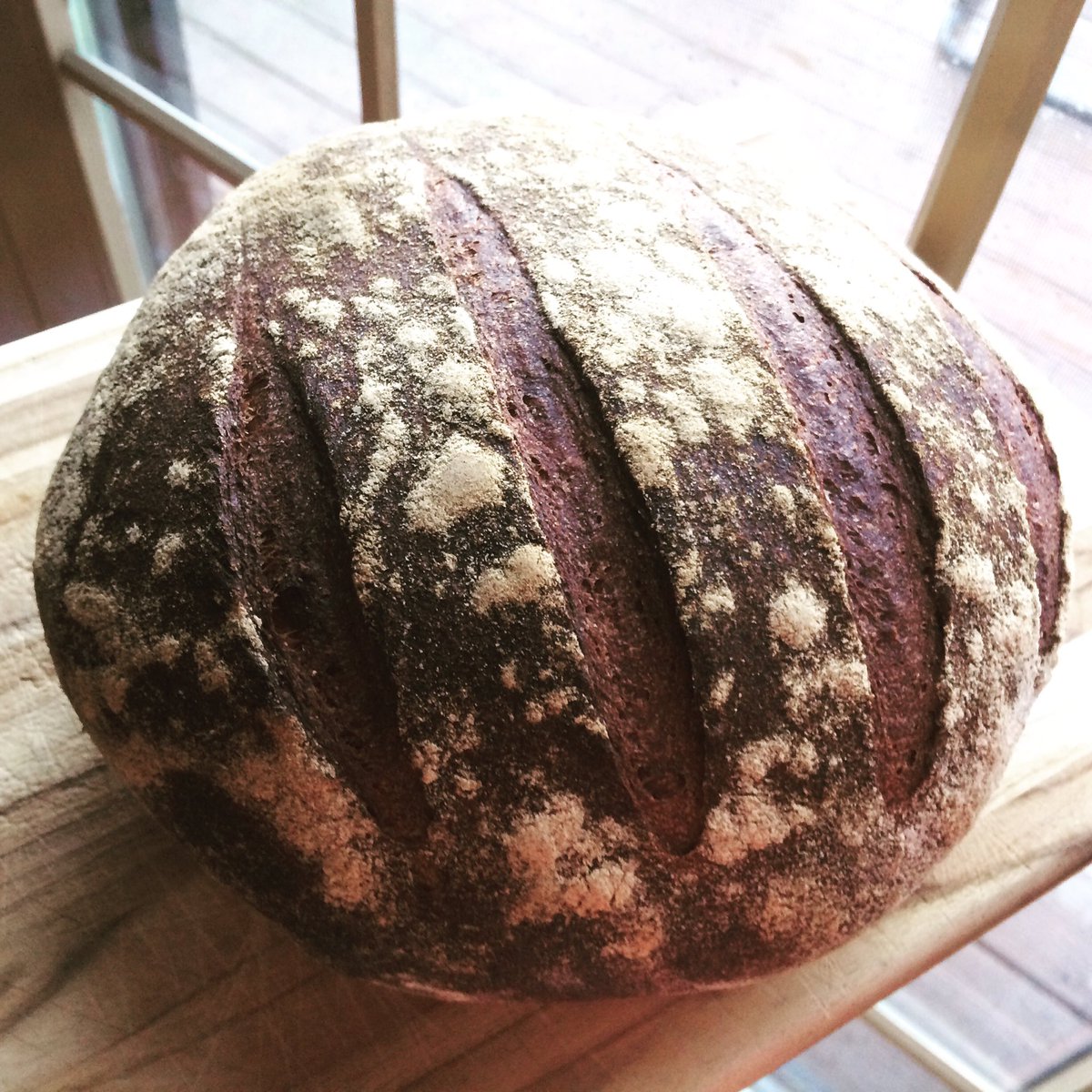 First edible loaf. Sourdough starter + comm. yeast + honey + 100%WW. Feel like a cheat, but I needed some success.