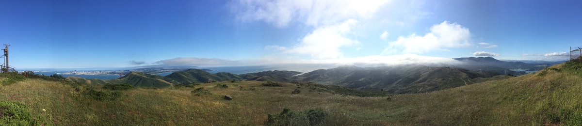 aguynamedben's tweet photo. Don't be fooled, San Francisco is a city set in the country #HillRuning #SFMarathon https://t.co/hsoXDwr2h5