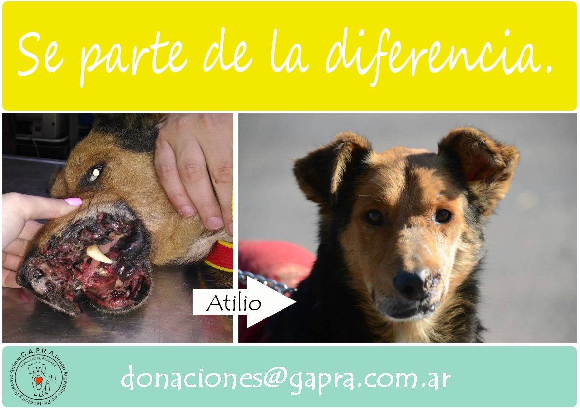 BcoProvincia-CajaAhorro 505037/5 Sucursal 4033-CBU 0140147503403350503756-Titular:Patricia Balzer-CUIL:27-14887242-8