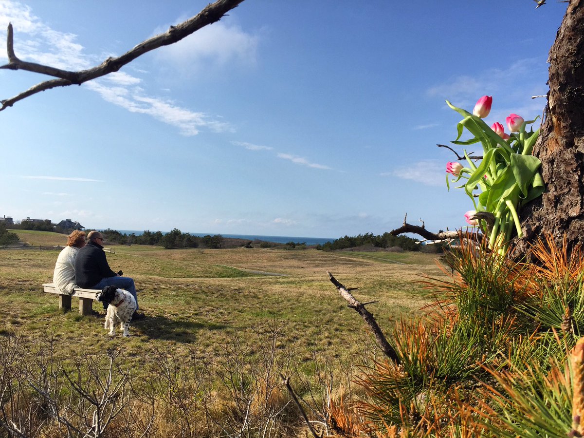 bmeyerack's tweet image. Happy #MothersDay, #Nantucket! Beautiful afternoon with my husband, Tuck &amp;amp; his mom. Tulips popping up everywhere!