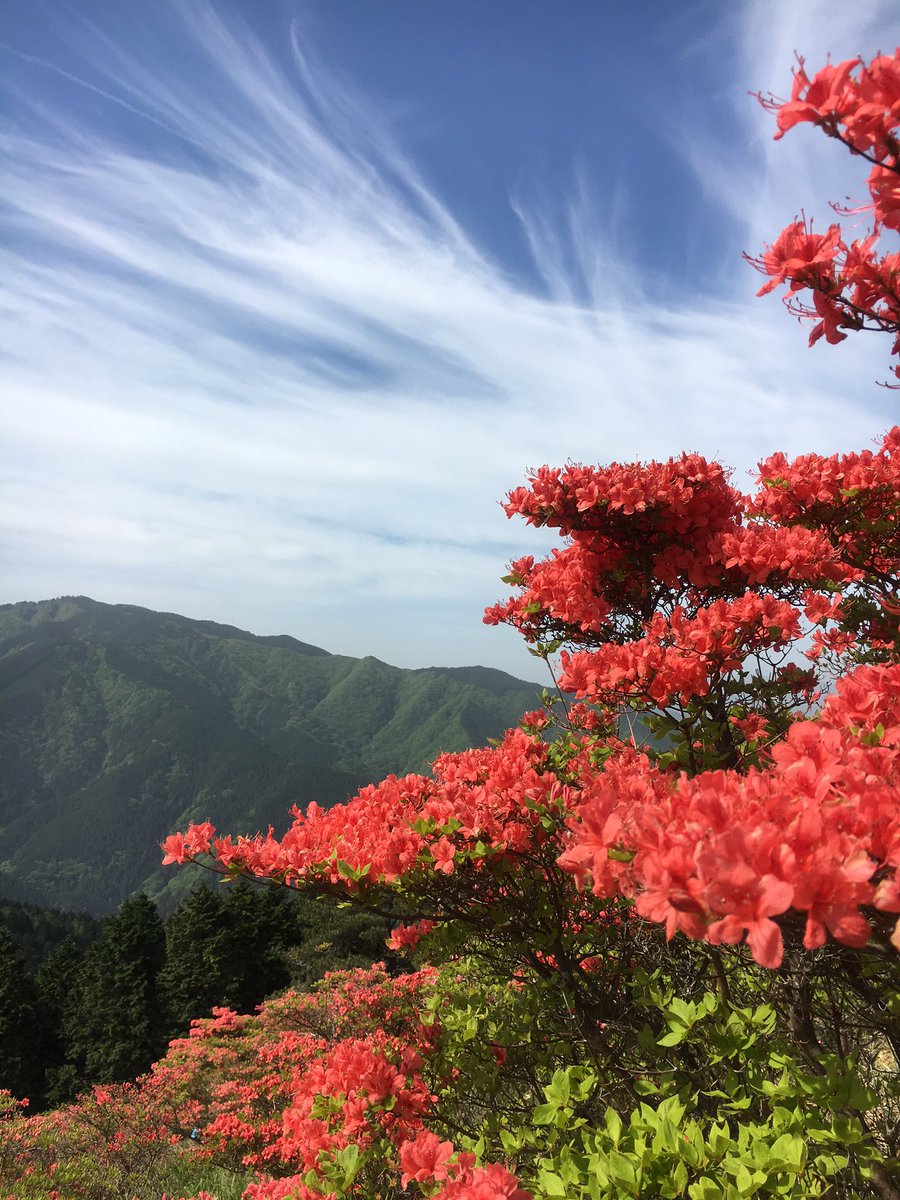 assam_h's tweet image. 母の日の奈良の山はきれいでした♪