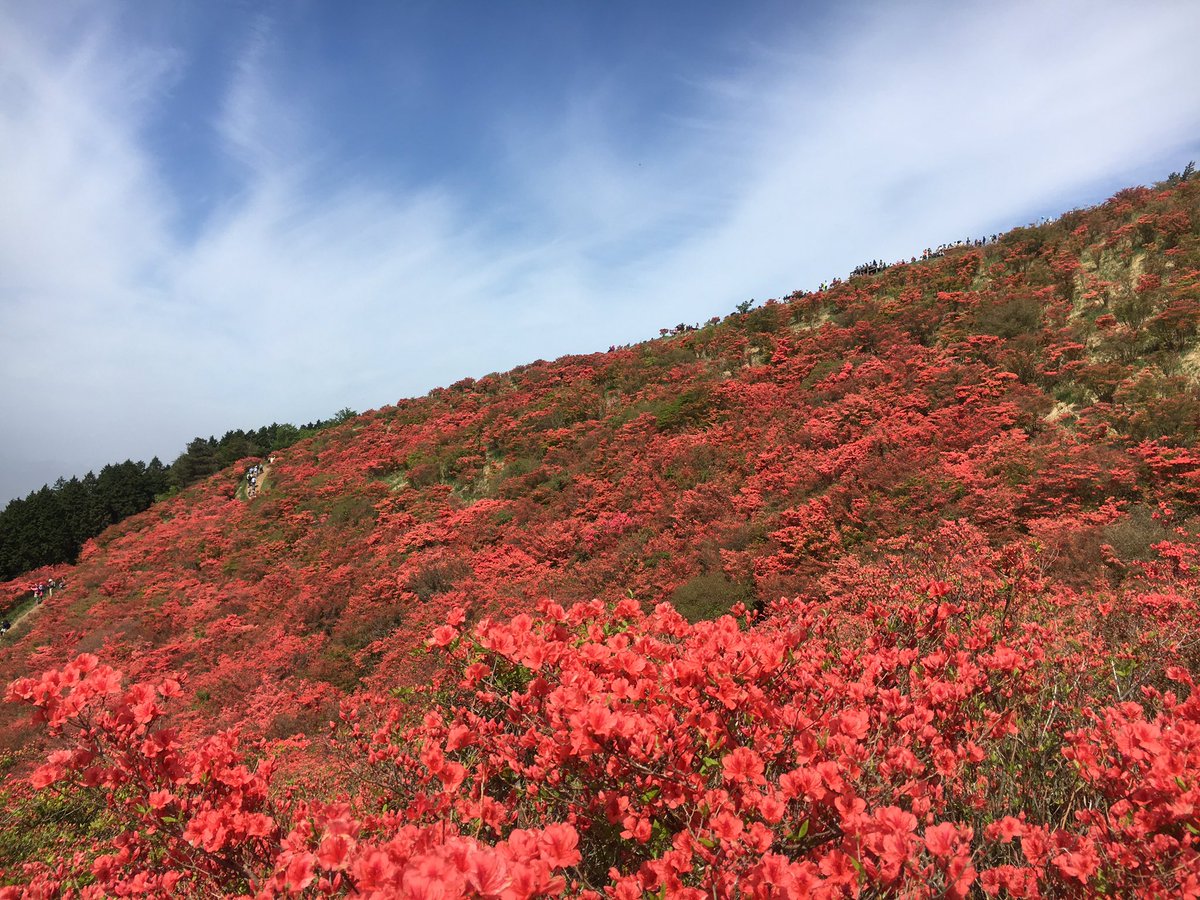 assam_h's tweet image. 母の日の奈良の山はきれいでした♪