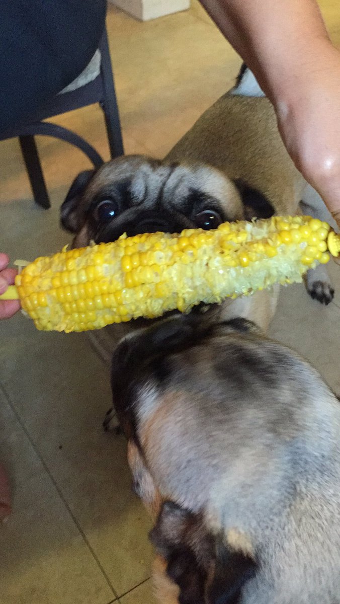 Eating some corn with my sister!
