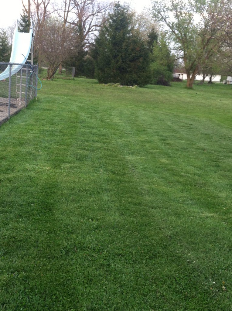 BowhuntressInMI's tweet photo. The happiness of finally getting yard work done, garden tilled, just ready for plants; veggies so far #springstuff https://t.co/vKzEbW3bzX