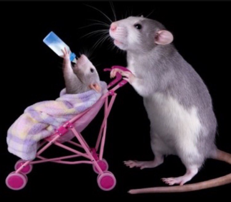 Happy Mother's Day to all you beautiful milfs out there!!!