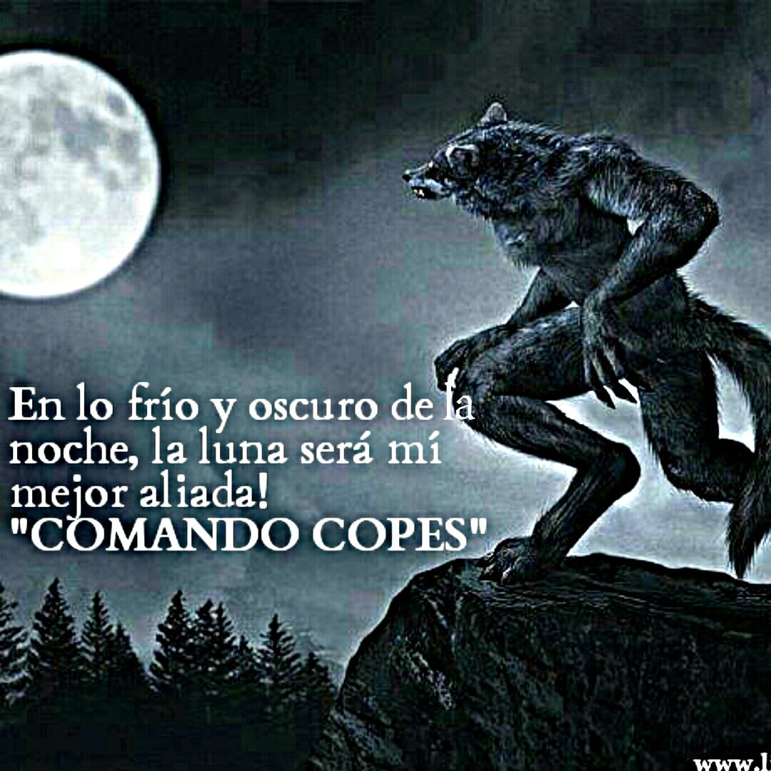 jerssonfg's tweet photo. Pax semper!!! https://t.co/0PDmfpFD7o