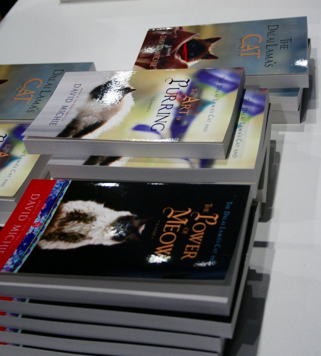 WACancerSupport's tweet image. Thank you @DavidMichieOm for an inspirational evening and teaching us new meditation techniques for everyday life :)