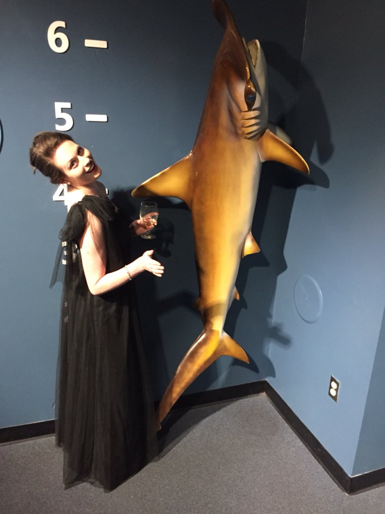 allison_garde's tweet photo. Literally the only record I have that I was there tonight. Thanks @cffntd_engineer for the candid shots.#CCSprom2016 https://t.co/sHaBkX2iwV