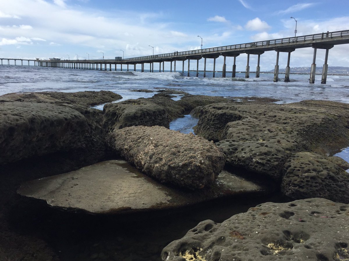 BStout5's tweet photo. San Diego is very pretty and colorful! https://t.co/5FKumq8PqR