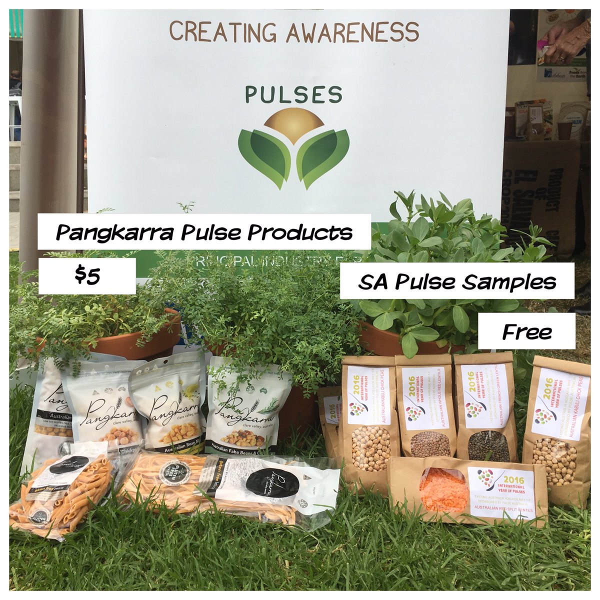 rusticevolution's tweet image. Busy handing out pulses and recipes at @TastingAus today #LovePulses #eatlocal #TastingAustralia #IYP2016