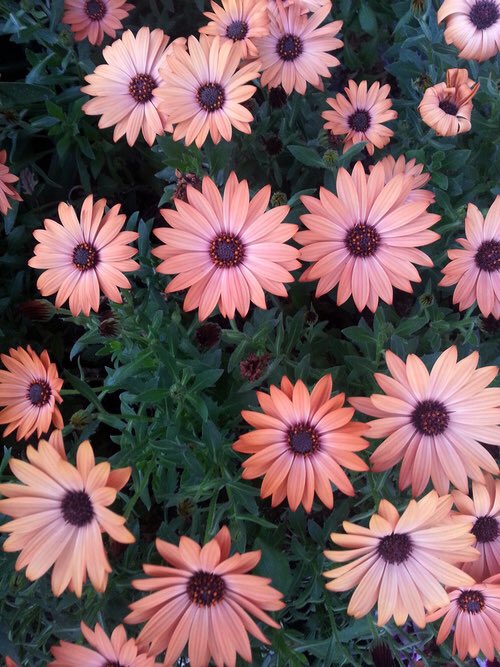 feelgoodvibes's tweet photo. 🌻 https://t.co/VgzrXueUUg