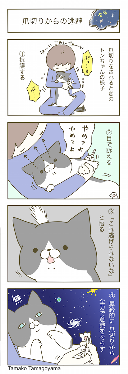 猫まんが。 
