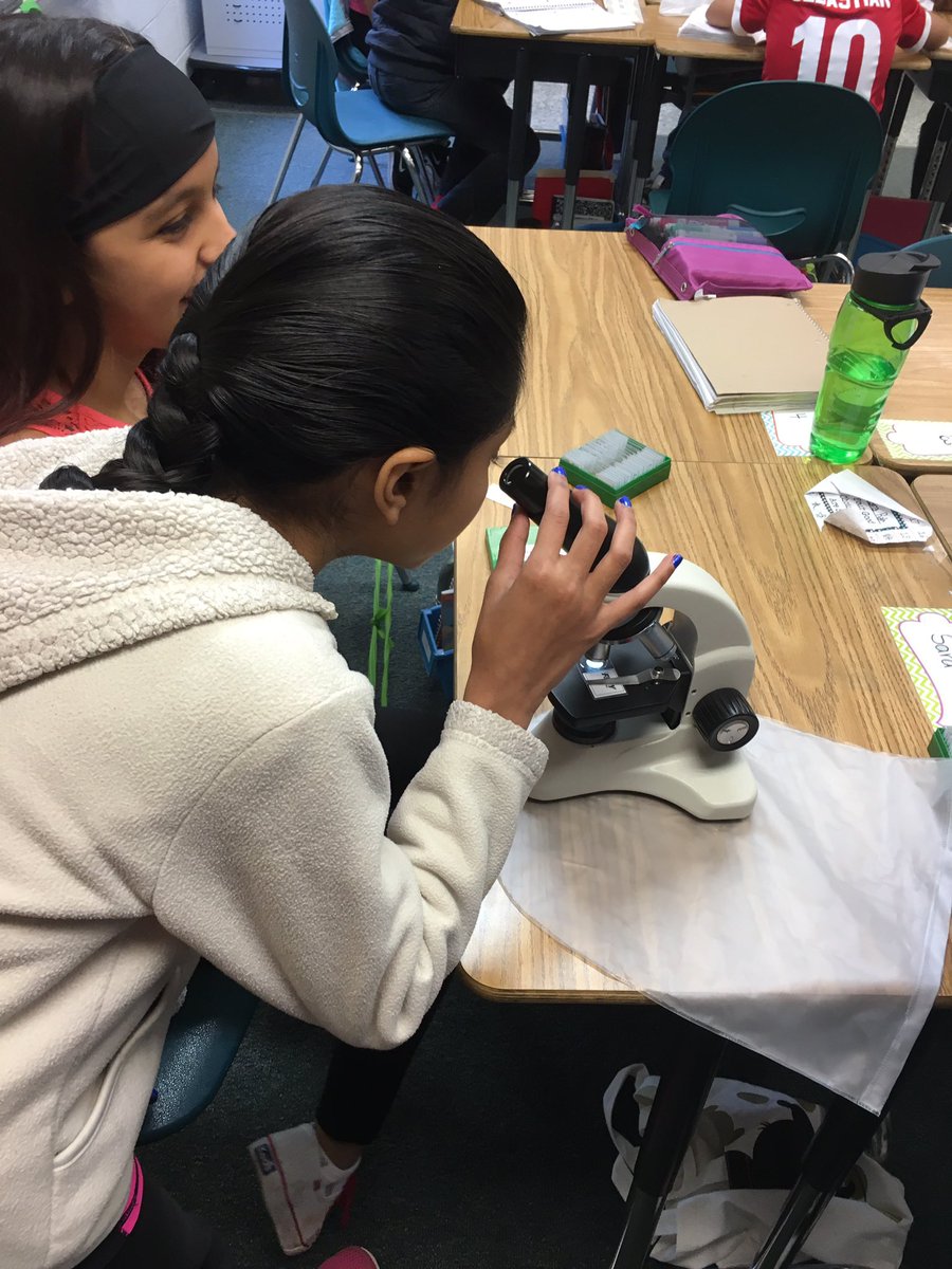 MsGLSES's tweet photo. Looking at plant and animal cells. #5thgrade #scientists @LortonStationES @fcpsnews https://t.co/sVCfp9fN0J