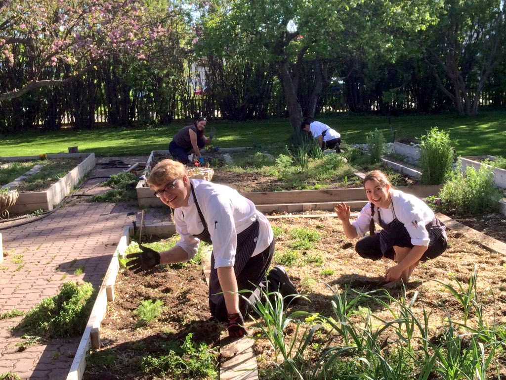 ChefRogalski's tweet photo. RT @RougeCal: The garden getting some good luvin today from the kitchen team. #cookslife #rawalberta https://t.co/JvoeLYNnje